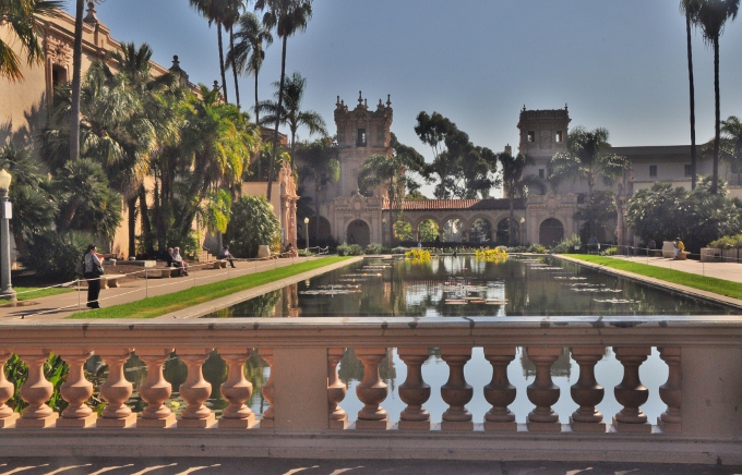 the lily pond